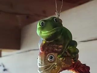 見られてる！