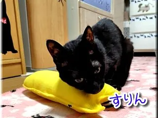 恋しくて