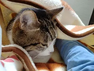 寝場所