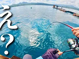 【沖縄】水深20mで突然、竿が水中へ引き…