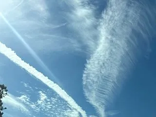 空、プリンで泳ぐ幽霊、食べられる蜘蛛の巣…