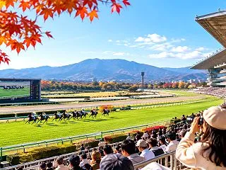 秋の京都競馬場を満喫！競馬観戦と京都観光…