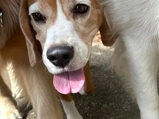 ぎゅうぎゅうの日