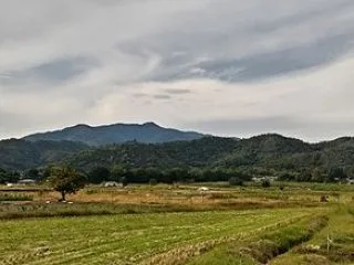 近隣散歩・・・嵯峨野。