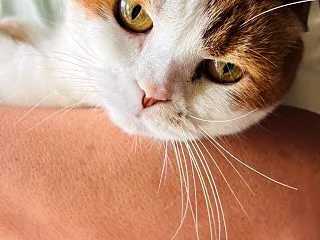 鼻なのか？歯なのか？