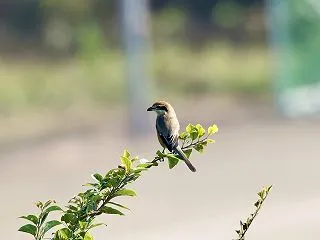 ダム湖へ。。