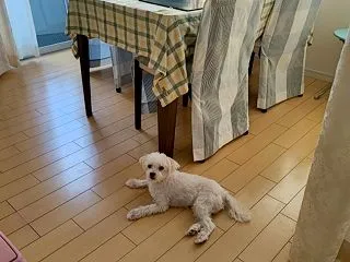 無事退院