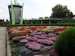 2026年夏のチューリップ公園3