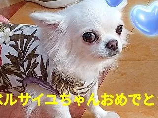 卒業決定しました