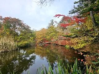 軽井沢の紅葉2026 ＊ 10/16の雲…