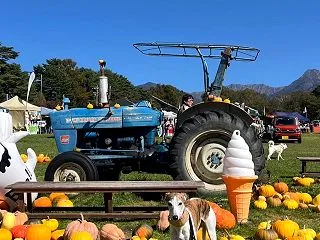 ウィペットひまわりDSE八ヶ岳ハロウィン…