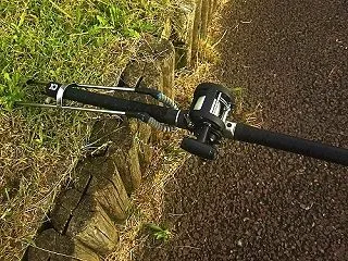 今日はブッコミで鯉狙いとハゼ狙いの二刀流…