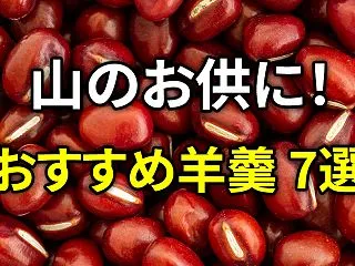 登山におすすめの行動食羊羹7選！山で食べ…