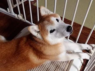 やっと金曜の夜