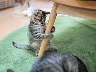 ちょっと寄り道
