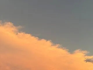 日々の記録 希死念慮と静かな狭間で。