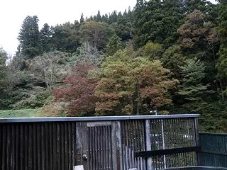 植え込みの準備