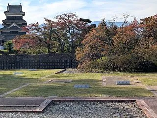 日々雑感（安く・おいしく・小麦なしでカレ…