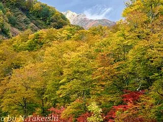 雨の鎌池