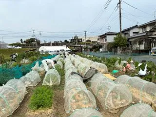 目の前にいたのは・・・