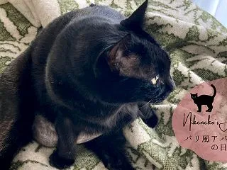 「ひゃくえむ。」の名言と化粧の効果