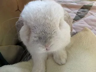 心変わり