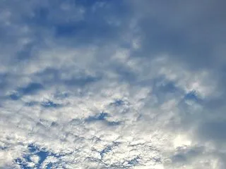 10月16日(金)のご飯