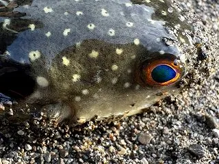初めて尽くしのサポート