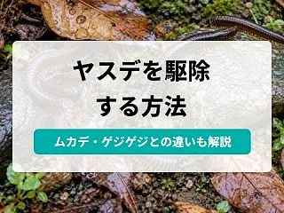 ヤスデの駆除方法は？大量発生したときの対…