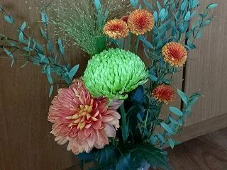 切り花 菊など