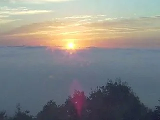 やや高いが濃い霧の海
