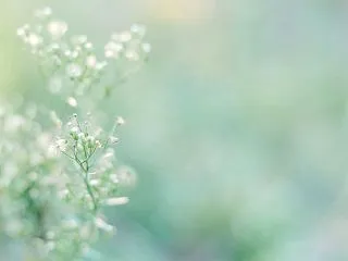 何かしてもらうと落ち着かない人 なぜすぐ…