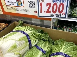 白菜キムチの季節がそろそろだけど、、白菜…