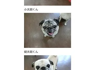 お泊まりDAY