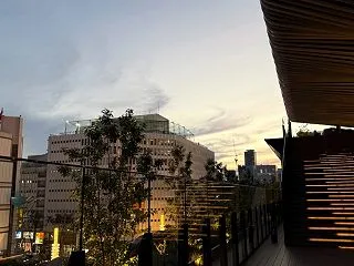 ずっしり重いカムジャパン♪