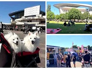 犬連れて 埼玉スタジアム2002公園 わ…