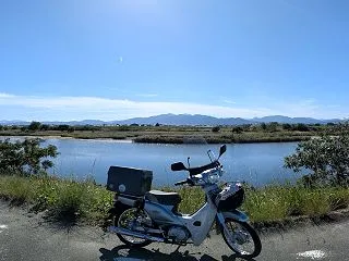 自然農 11月に入れば、ひたすら草刈りと…