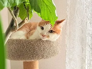 自転車と ハンカチと 私の人生