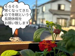 寒くなりました。