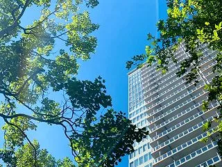 幸せな人ほどよく歩く？世界の幸福度とウォ…