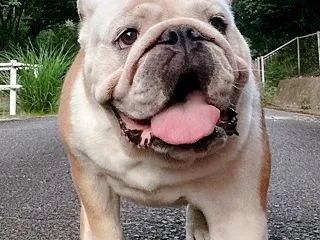 let's enjoy！