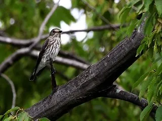 やっと。。。＾＾
