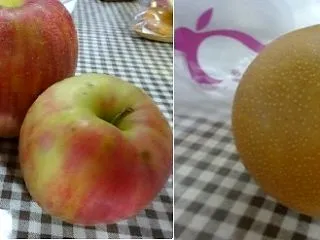 貢ぎ物たち♪