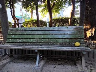 といったものの