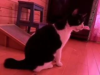今日はめちゃくちゃびっくり？！したよねー…