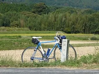 9ヶ月ぶりの風の森