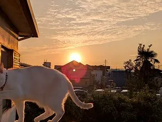 今日は。