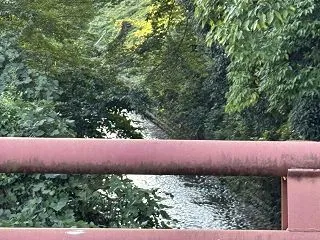 (574) 犬山散策（3）