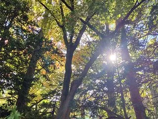 天さんのヒーリング（5回目）