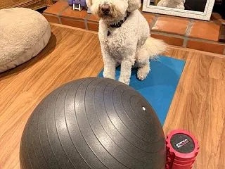 友達あってこそのありがたみ